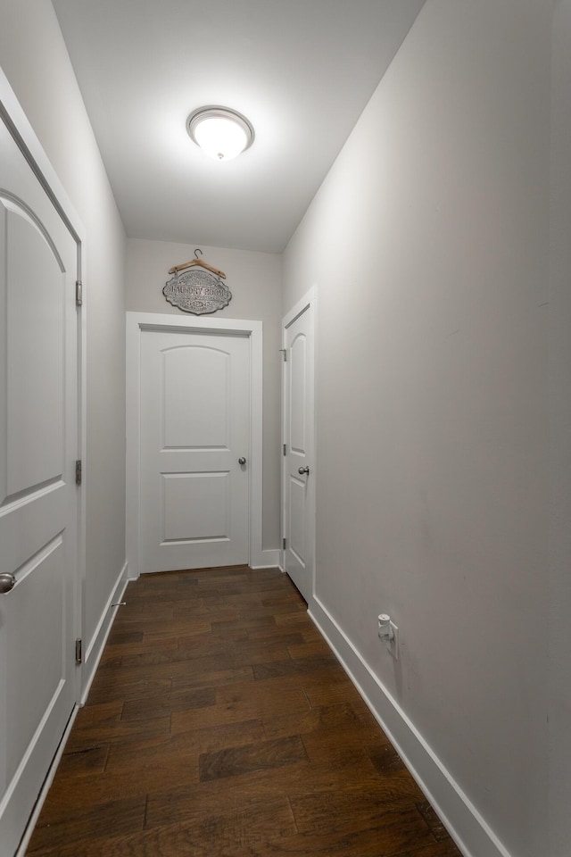 doorway to outside with dark hardwood / wood-style flooring