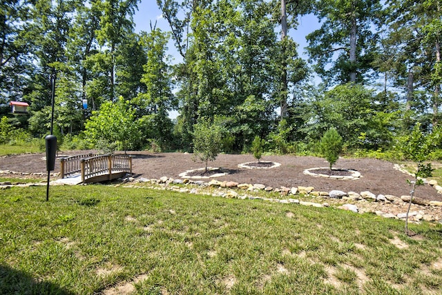 1502 Buttonwood Loop, Chattanooga, TN 37421 - view of grassy yard
