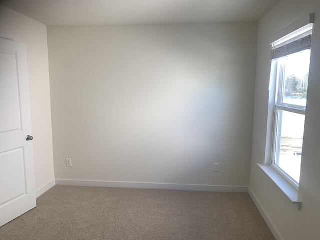 spare room featuring plenty of natural light and carpet flooring