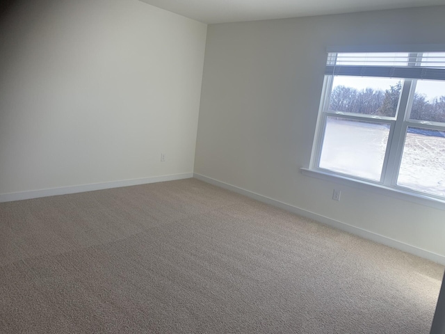 spare room with carpet