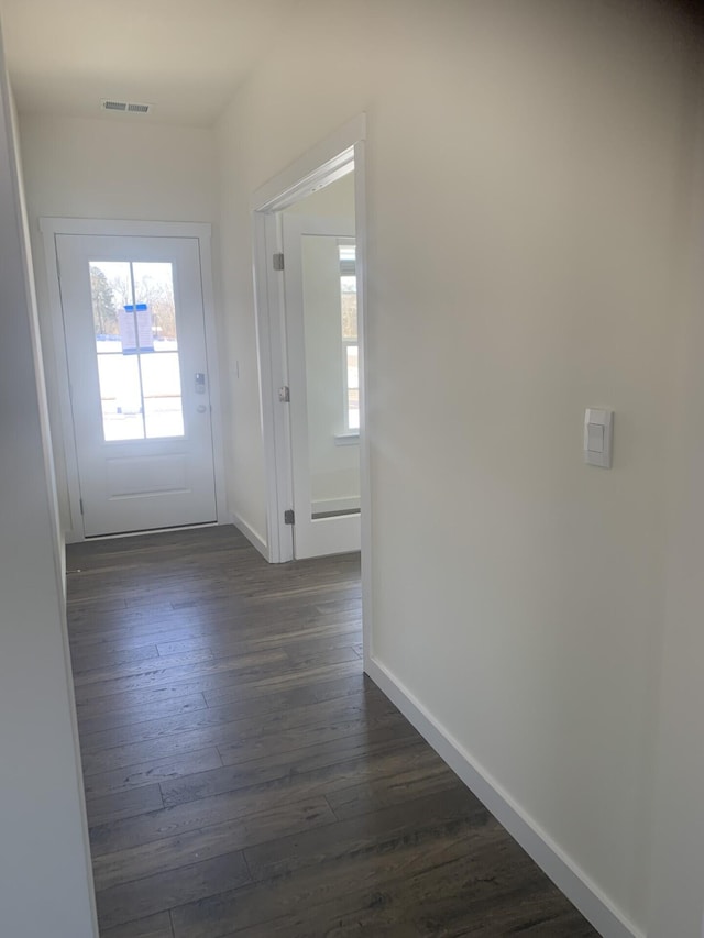 doorway with plenty of natural light and dark hardwood / wood-style floors