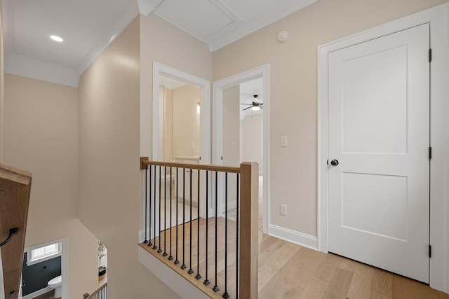 corridor featuring ornamental molding and light hardwood / wood-style flooring