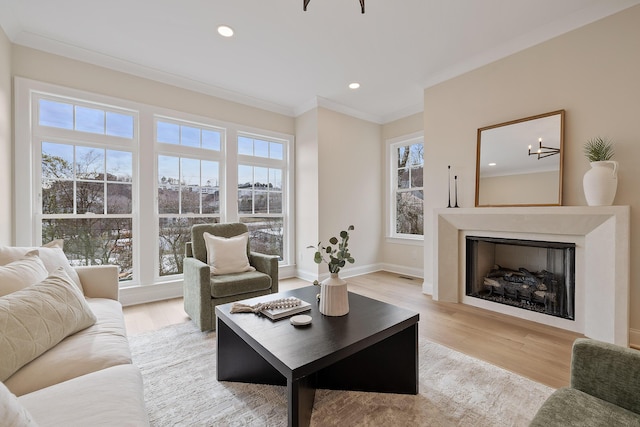 living room featuring ornamental molding and hardwood / wood-style floors