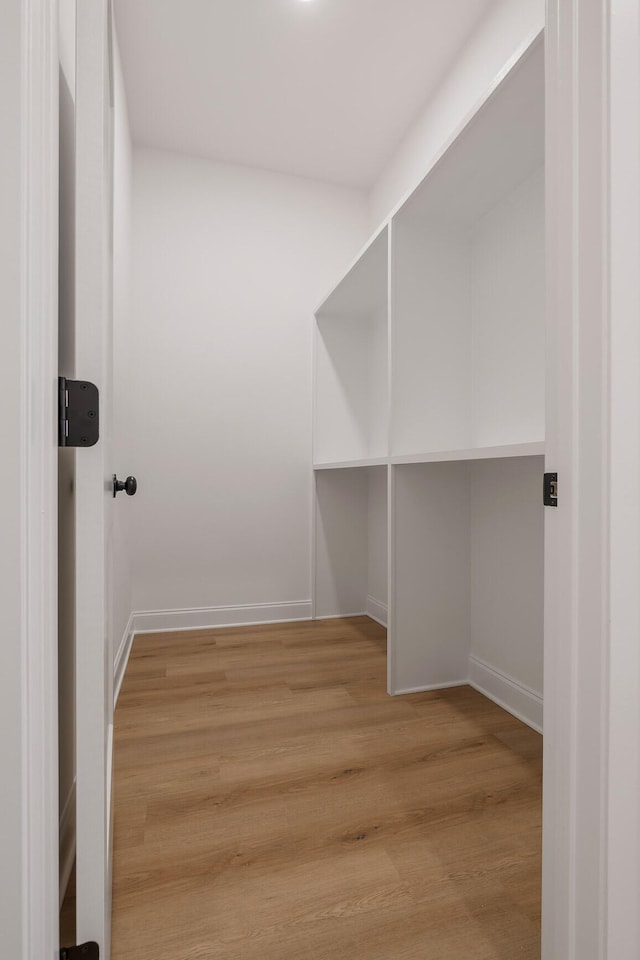 spacious closet featuring light hardwood / wood-style flooring