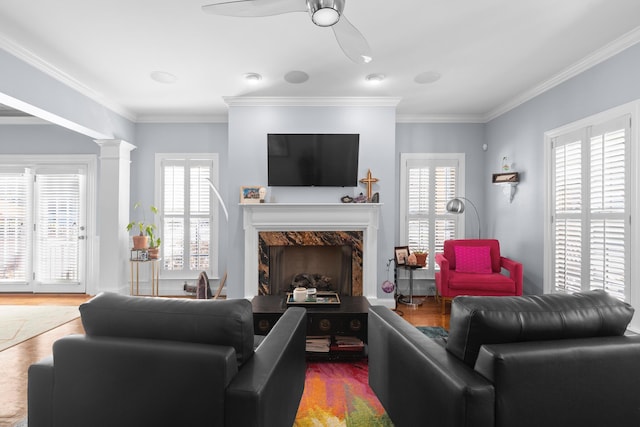 living room with hardwood / wood-style flooring, a premium fireplace, and a healthy amount of sunlight