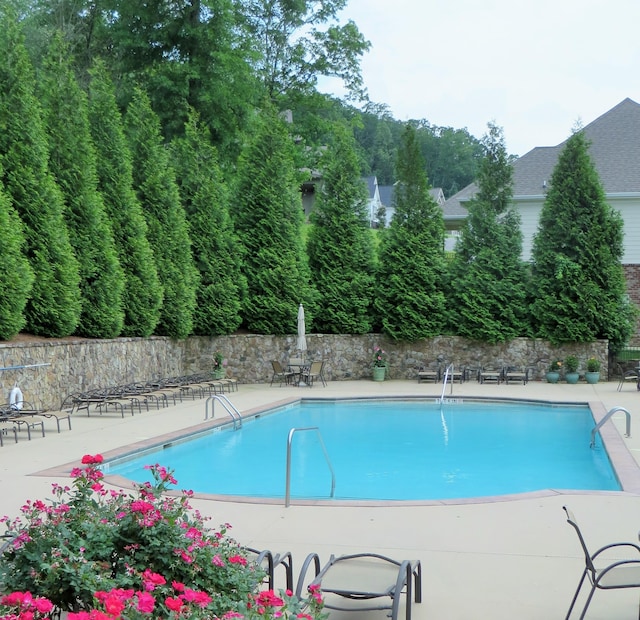 view of pool with a patio