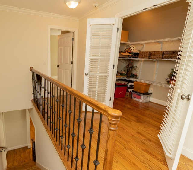 interior space featuring ornamental molding and wood-type flooring