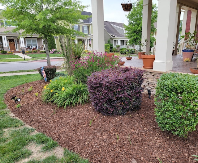 view of yard featuring covered porch