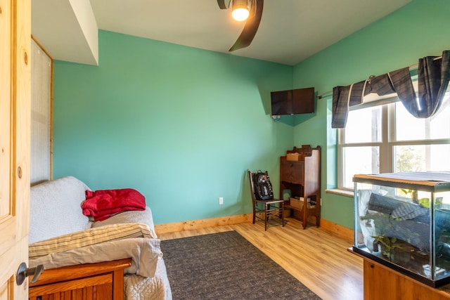 living area featuring ceiling fan and light hardwood / wood-style flooring