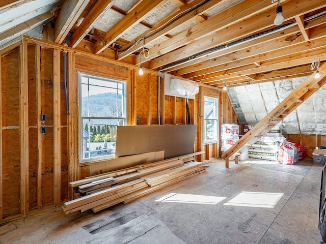 attic with a healthy amount of sunlight