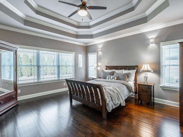 bedroom featuring multiple windows, dark hardwood / wood-style floors, and a tray ceiling