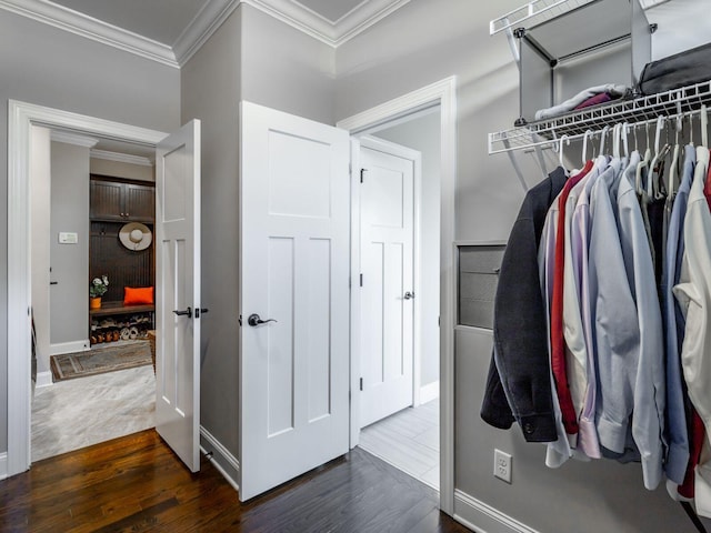 walk in closet featuring dark hardwood / wood-style flooring