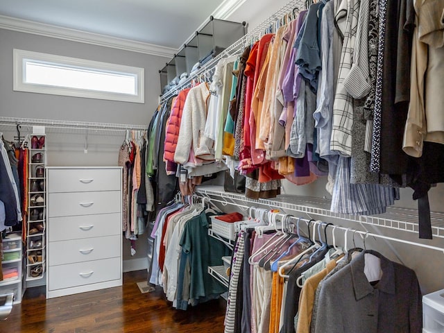 spacious closet with dark wood-type flooring