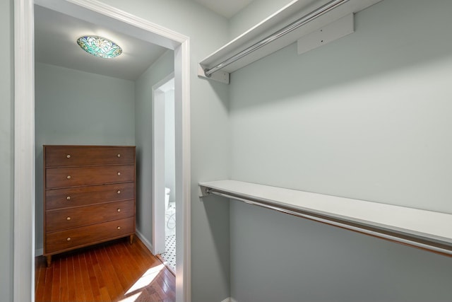 walk in closet featuring wood-type flooring