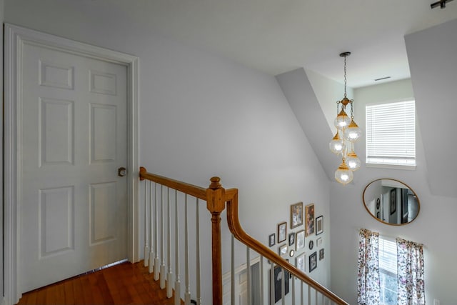 interior space featuring dark hardwood / wood-style flooring and a chandelier