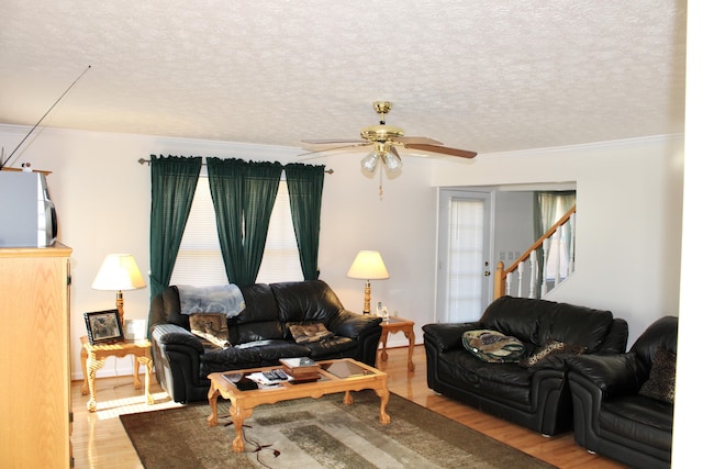 living room with ceiling fan, ornamental molding, a textured ceiling, and light wood-type flooring