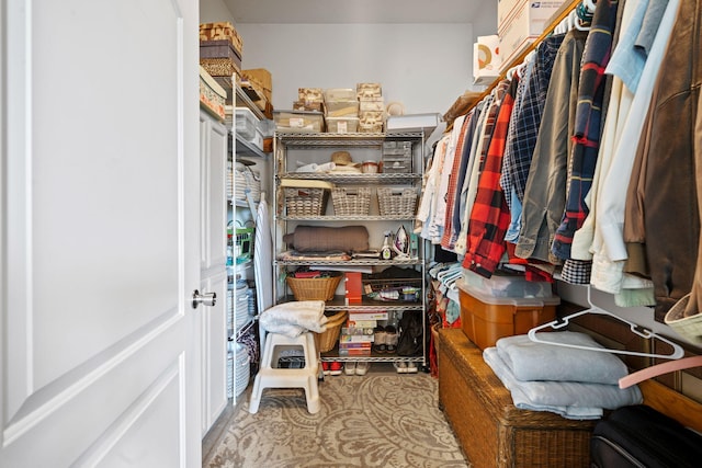 view of walk in closet