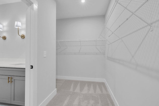 walk in closet with light carpet