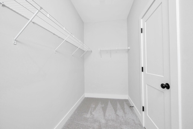 walk in closet featuring light colored carpet