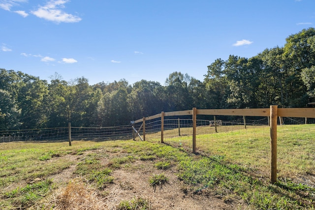 view of yard featuring a rural view