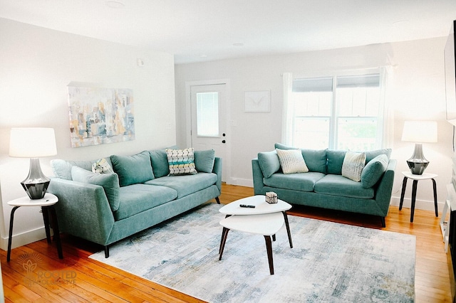 living room featuring baseboards and light wood-style floors