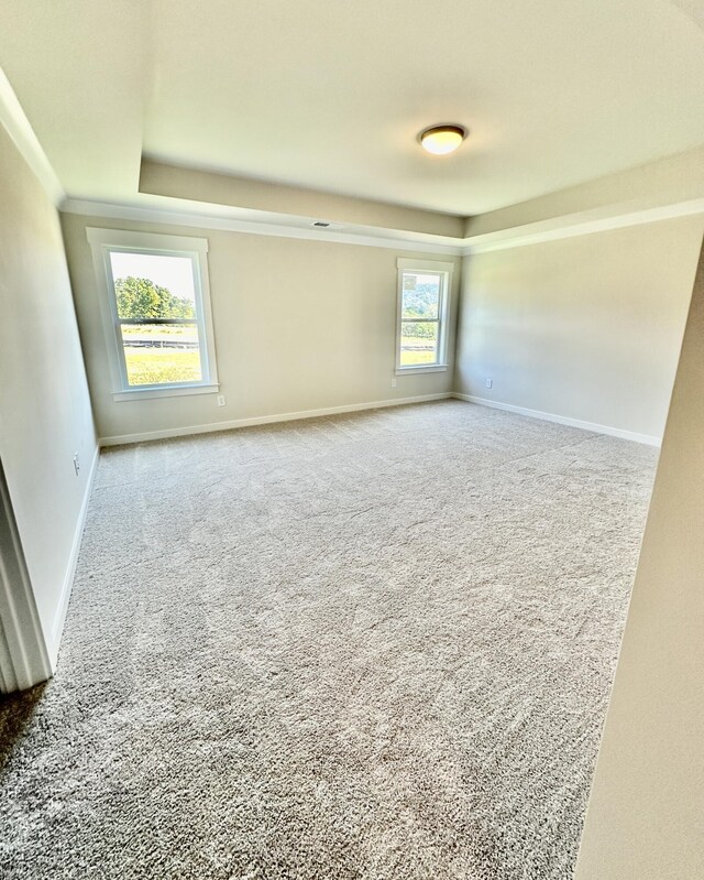 empty room with a raised ceiling, baseboards, and carpet floors