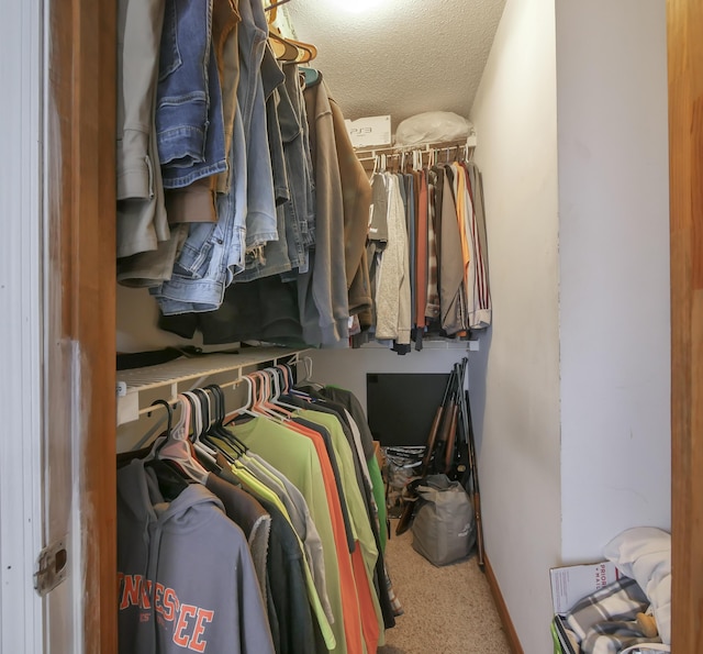 walk in closet featuring carpet floors