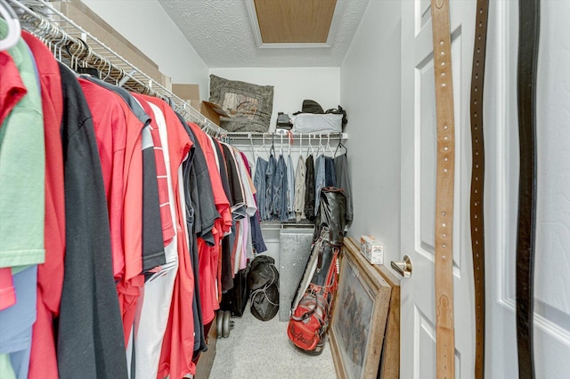 walk in closet featuring carpet flooring