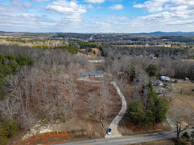 birds eye view of property featuring a mountain view