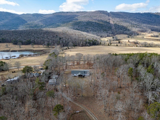 view of mountain feature featuring a rural view and a water view