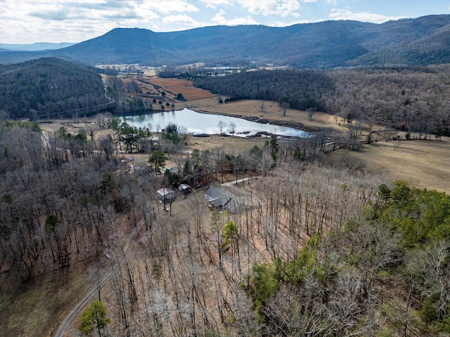 property view of mountains featuring a water view