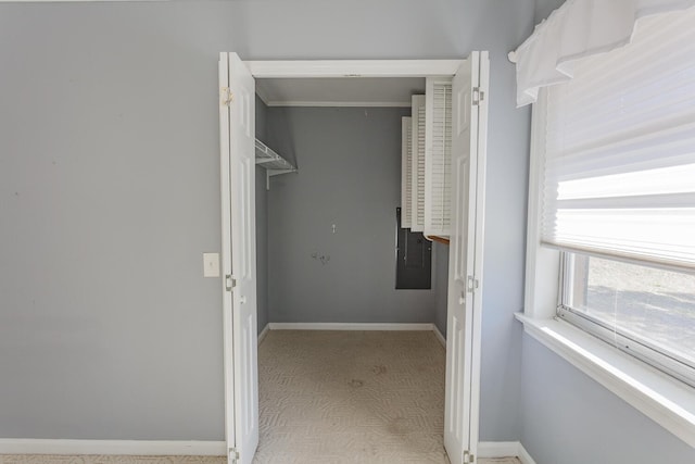 spacious closet featuring light carpet and electric panel