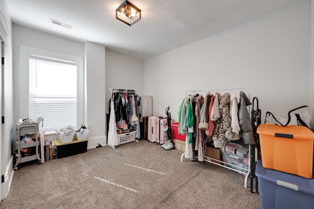 spacious closet with carpet flooring