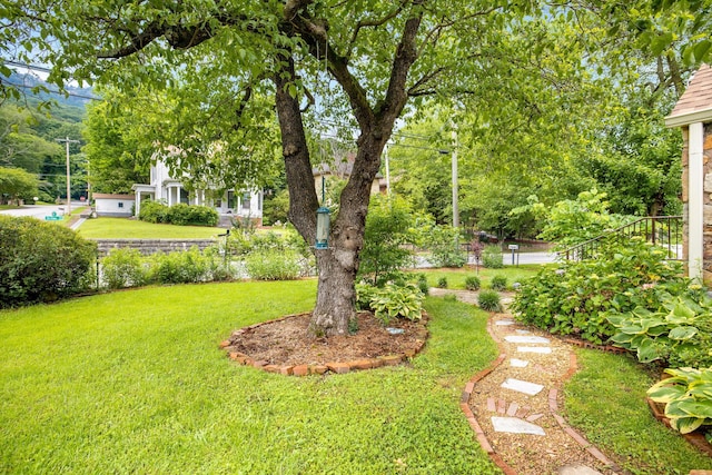 4220 Saint Elmo Ave, Chattanooga, TN 37409 - view of green lawn