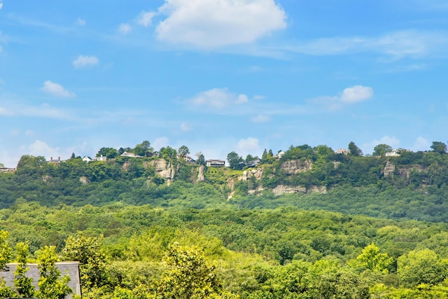 4220 Saint Elmo Ave, Chattanooga, TN 37409 - view of wooded area
