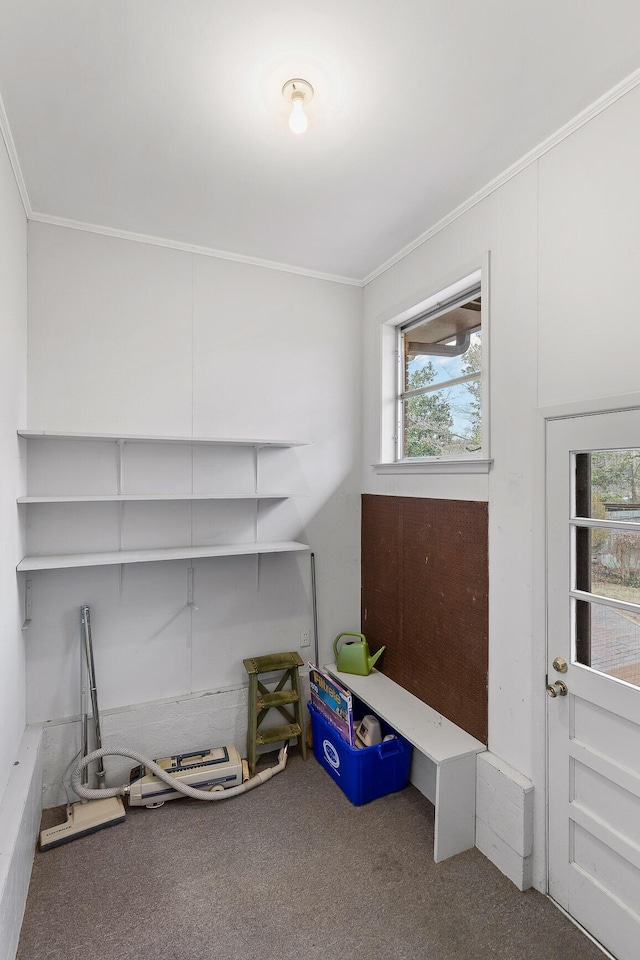 misc room featuring ornamental molding and carpet