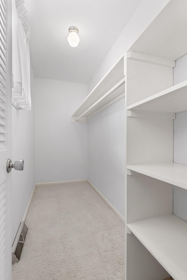 spacious closet featuring light colored carpet