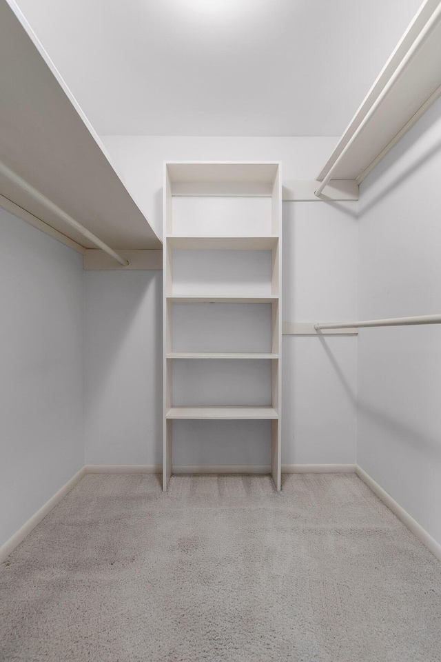 walk in closet featuring light carpet