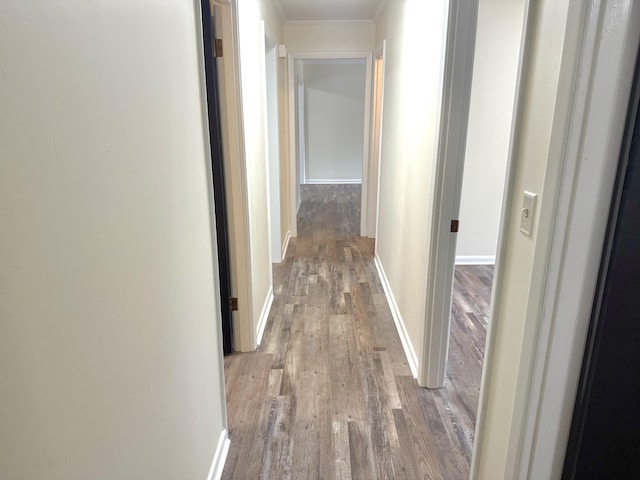 hall with ornamental molding and light wood-type flooring