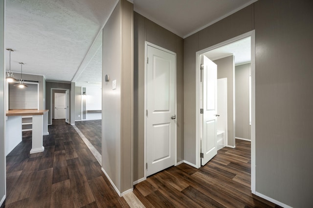 corridor with crown molding, a textured ceiling, and dark hardwood / wood-style flooring