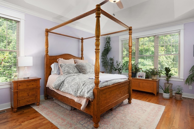 bedroom with ceiling fan, ornamental molding, multiple windows, and light wood-type flooring