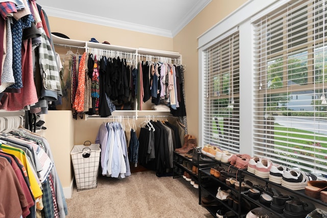 walk in closet with light carpet