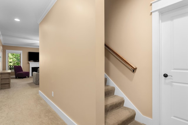 staircase with ornamental molding and carpet floors