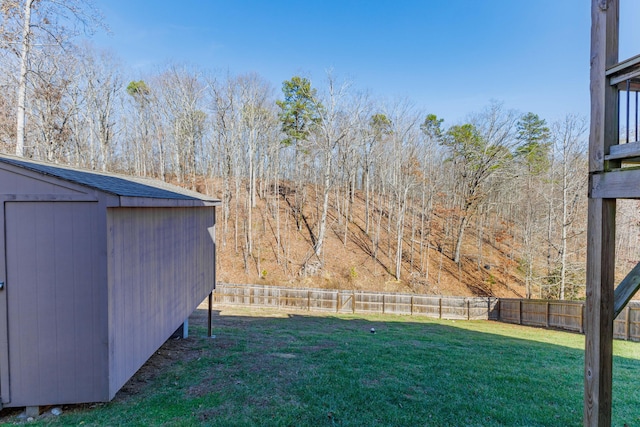 view of yard featuring a shed