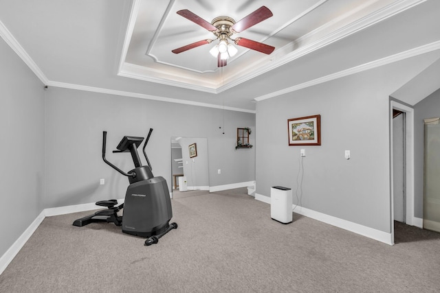 workout area with a tray ceiling, carpet floors, crown molding, and ceiling fan