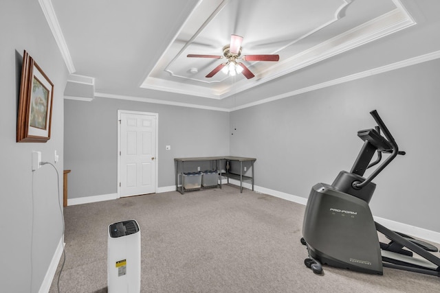 exercise area featuring carpet, crown molding, ceiling fan, and a raised ceiling