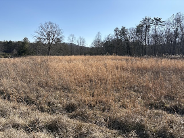 7782 Brockdell Rd, Pikeville TN, 37367 land for sale