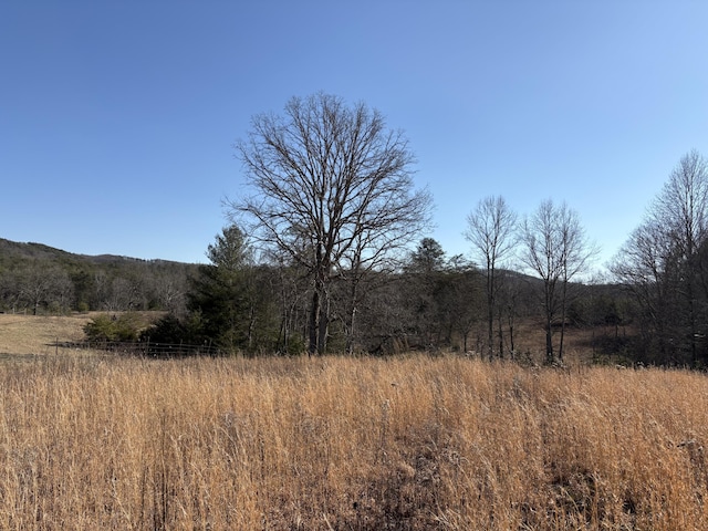 Listing photo 2 for 7782 Brockdell Rd, Pikeville TN 37367