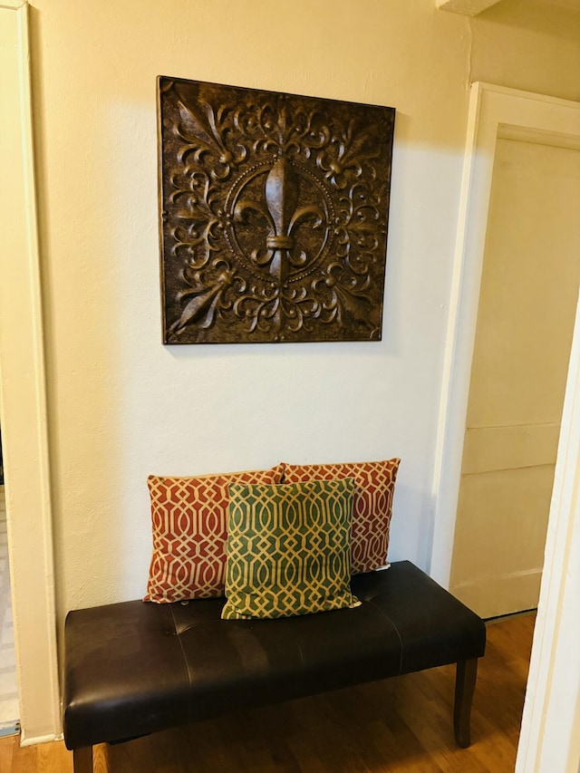 mudroom featuring wood-type flooring