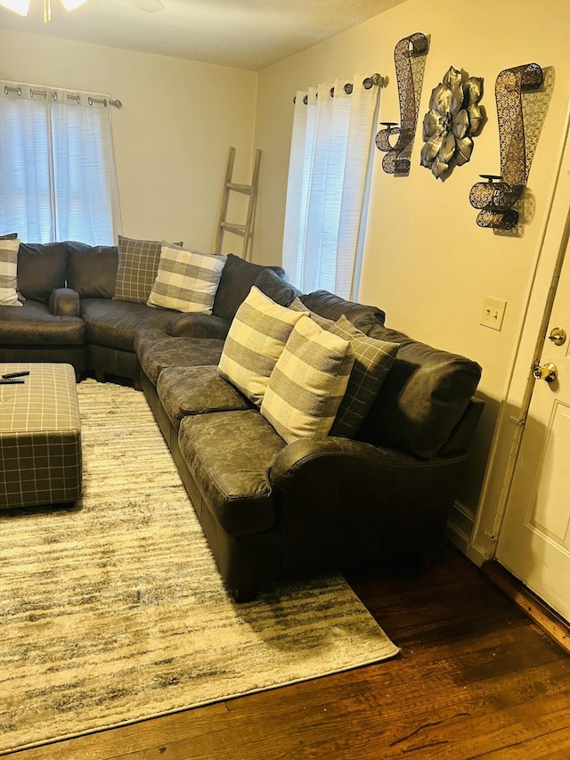 living room with dark wood-type flooring